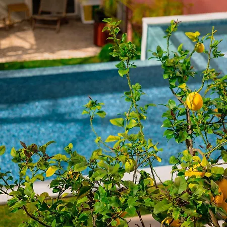 Jardim Da Lapa By Shiadu Готель 3*