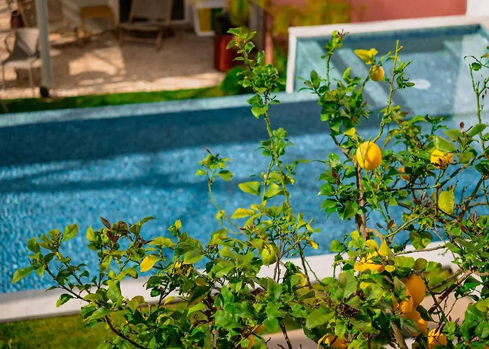 Jardim Da Lapa By Shiadu Hotel 3*