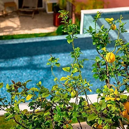 Hotel Jardim Da Lapa By Shiadu